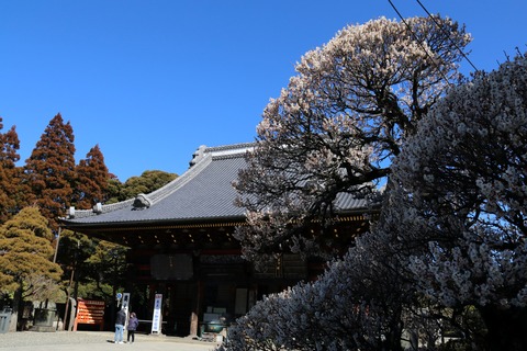 IMG_6093光明堂