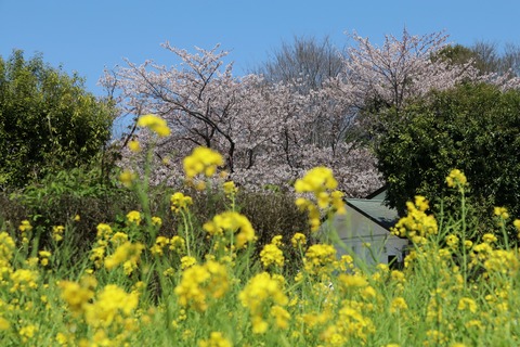 IMG_7982南口広場