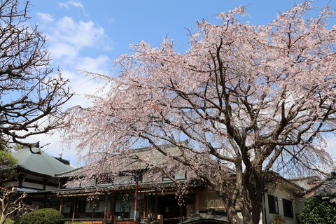 IMG_7399妙法寺