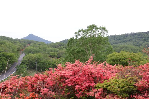 IMG_8892見晴山展望台より