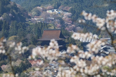 IMG_8692上千本
