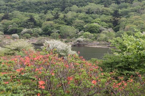 IMG_8848覚満淵