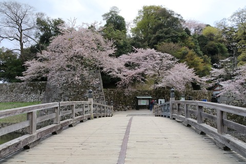 IMG_8572根城 表門橋