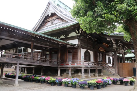 IMG_0128帝釈天本堂