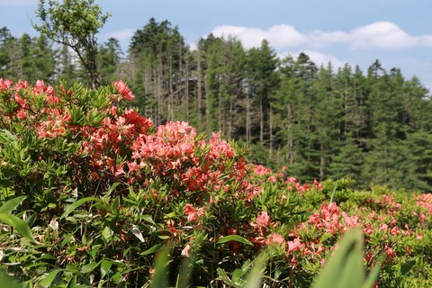IMG_9887武石峰登る