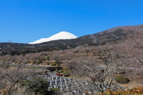 IMG_6983富士霊園