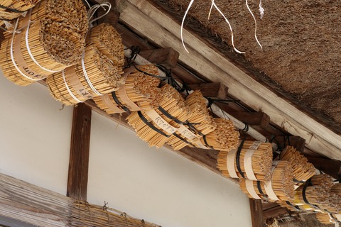 IMG_2713大内宿 豆マメコバチの巣