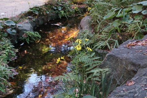 IMG_4588神田上水跡