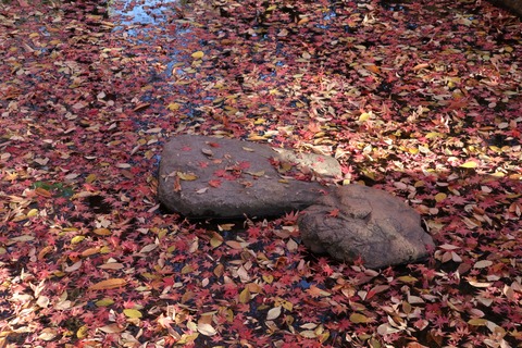 IMG_4908岡本公園