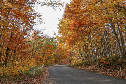 IMG_3183磐梯吾妻レークライン