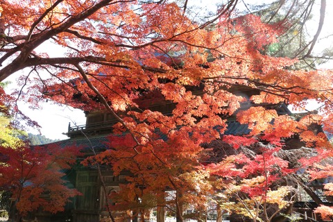 IMG_4222三門周辺