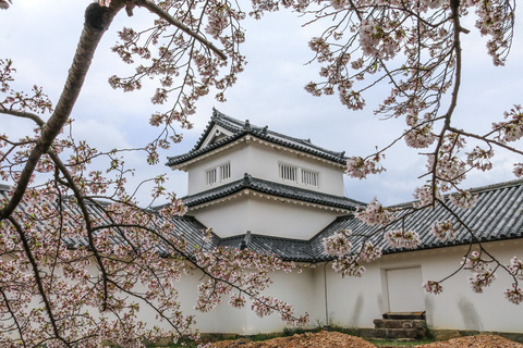 IMG_8520彦根城 西の丸三重櫓