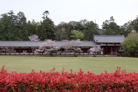 IMG_8200中庭東側
