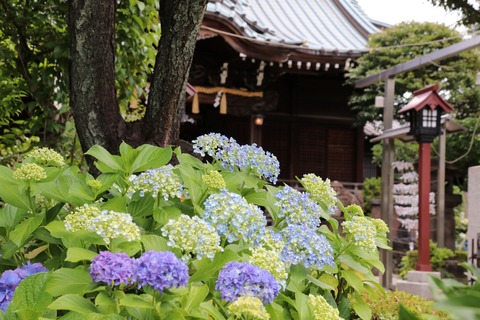 IMG_9724白山神社
