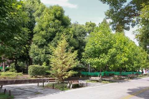 IMG_1948教育の森公園