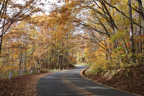 IMG_3178磐梯吾妻レークライン