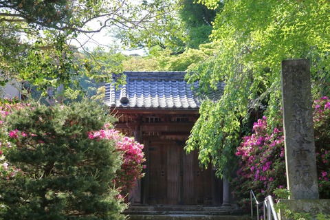 IMG_7145安国論寺