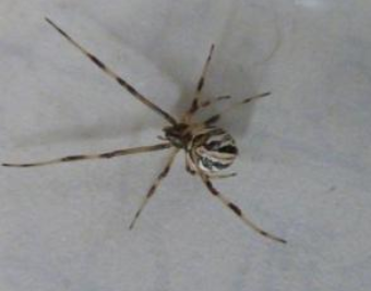 スクリーンショット 2025-07-18 161209