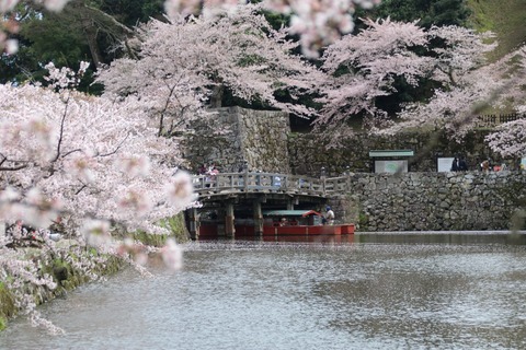 IMG_8570根城 表門橋