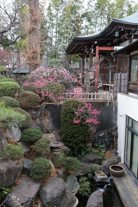 IMG_6420妙法寺