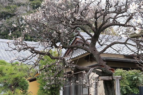 IMG_6444永安寺