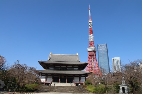 IMG_7152大殿と東京タワー大殿と東京タワーe
