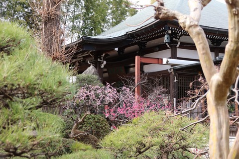 IMG_6422妙法寺
