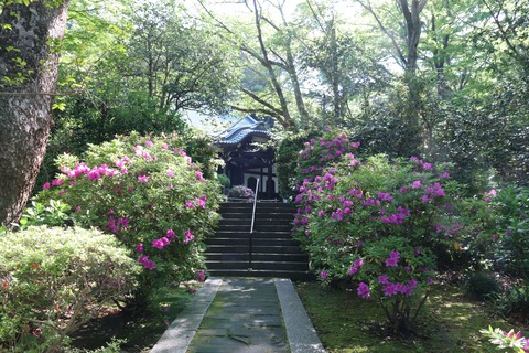 IMG_7087妙本寺本堂