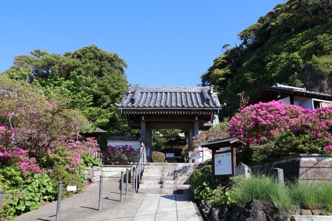 IMG_7092安養院 山門