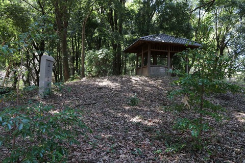 IMG_7909山の広場