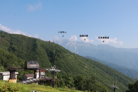 IMG_0978兎平より名付