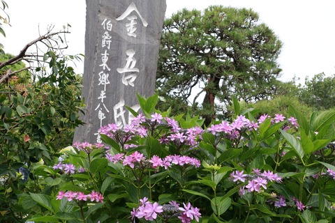 IMG_9312収玄寺