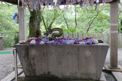 IMG_0838手水鉢