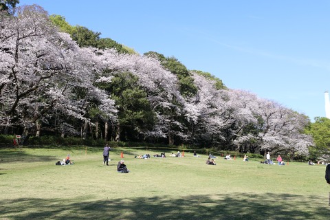 IMG_7991砧公園
