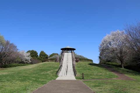 IMG_7817展望広場