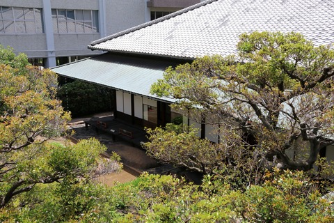 IMG_9834二階ベランダより和館