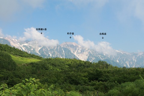 IMG_0985黒菱平より名付