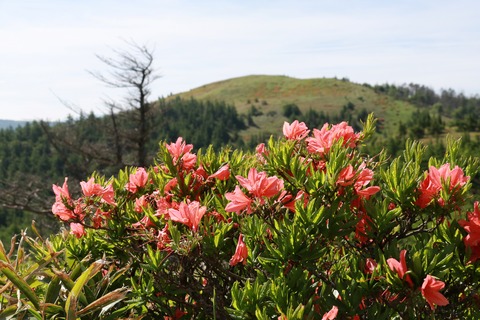 IMG_9826思い出の丘