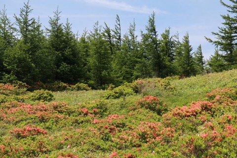 IMG_9975保護センター方面へ向かう