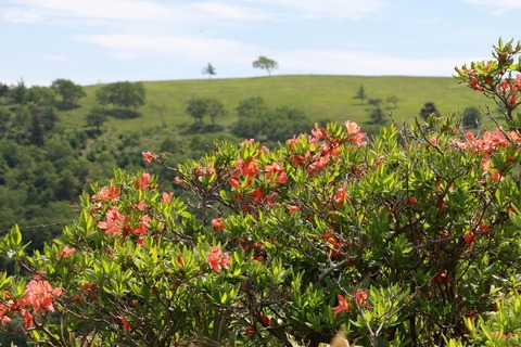 IMG_9970保護センター方面へ向かう