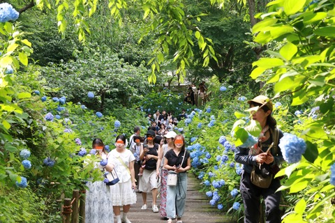 IMG_9578明月院 山門より