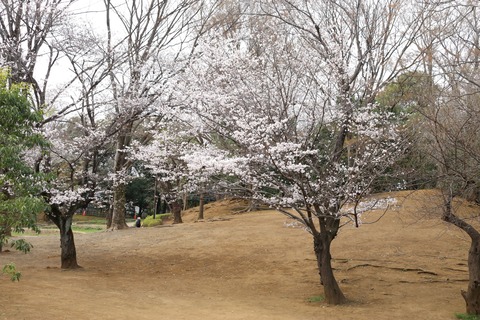 IMG_7141次太夫堀公園