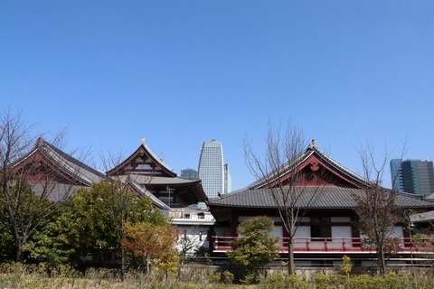 IMG_7233芝公園より増上寺伽藍と東京タワー