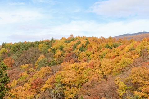 IMG_3168中津川渓谷