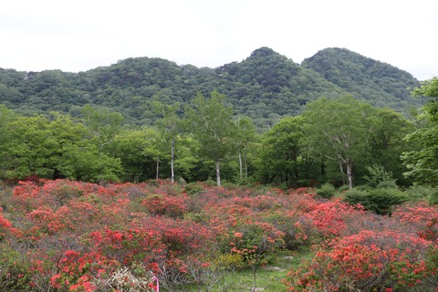 IMG_8925見晴山展望台より下りる