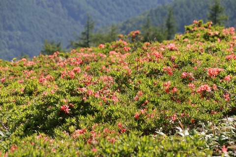 IMG_9904武石峰登る