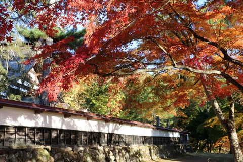 IMG_2886福満虚空藏菩薩円蔵寺