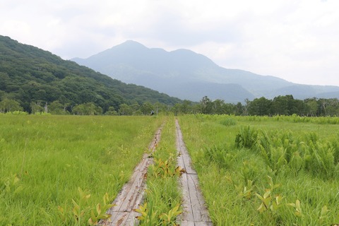 IMG_1430ヨシッ堀田代からの燧ケ岳