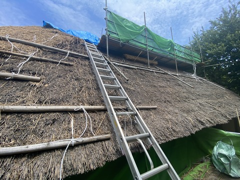 IMG_6823