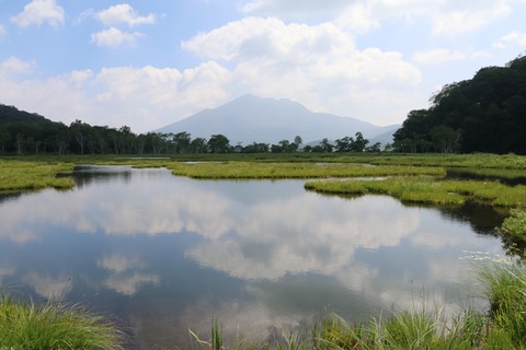 IMG_1268ギリ逆さひ燧
